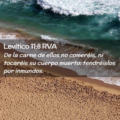 Picture 02 - Levítico 11:8 RVA - De la carne de ellos no comeréis, ni tocaréis - Bible Verse Picture