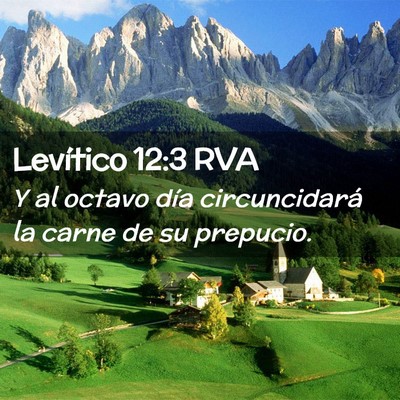 Picture 02 - Levítico 12:3 RVA - Y al octavo día circuncidará la carne de su - Bible Verse Picture