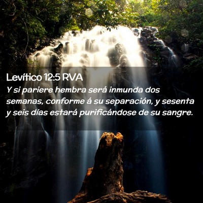 Picture 02 - Levítico 12:5 RVA - Y si pariere hembra será inmunda dos semanas, - Bible Verse Picture