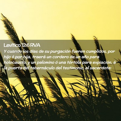 Picture 02 - Levítico 12:6 RVA - Y cuando los días de su purgación fueren - Bible Verse Picture