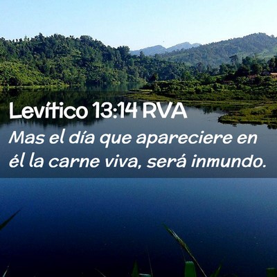 Picture 02 - Levítico 13:14 RVA - Mas el día que apareciere en él la carne viva, - Bible Verse Picture