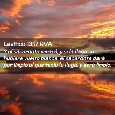 Picture 02 - Levítico 13:17 RVA - Y el sacerdote mirará, y si la llaga se hubiere - Bible Verse Picture