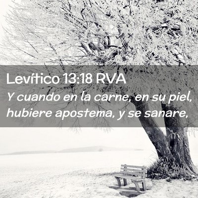 Picture 02 - Levítico 13:18 RVA - Y cuando en la carne, en su piel, hubiere - Bible Verse Picture