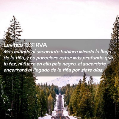 Picture 02 - Levítico 13:31 RVA - Mas cuando el sacerdote hubiere mirado la llaga - Bible Verse Picture