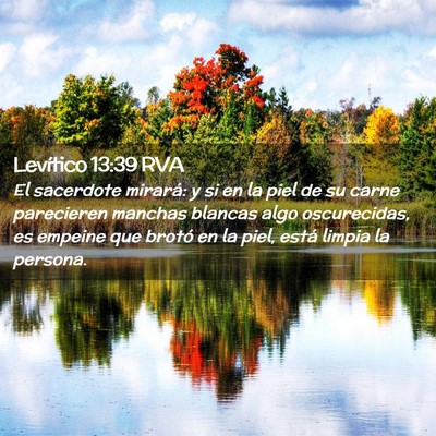 Picture 02 - Levítico 13:39 RVA - El sacerdote mirará: y si en la piel de su carne - Bible Verse Picture