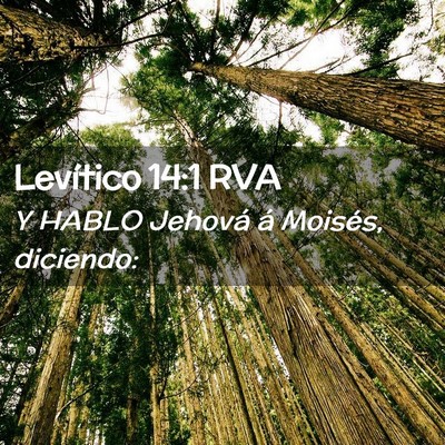 Picture 02 - Levítico 14:1 RVA - Y HABLO Jehová á Moisés, - Bible Verse Picture