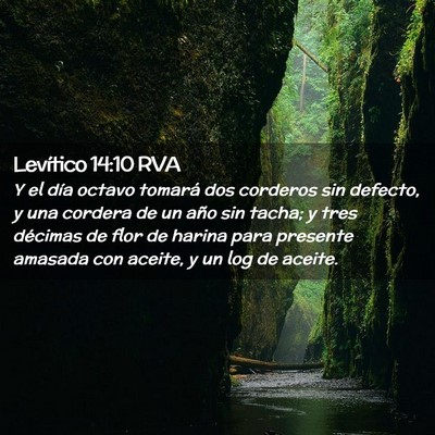 Picture 02 - Levítico 14:10 RVA - Y el día octavo tomará dos corderos sin - Bible Verse Picture