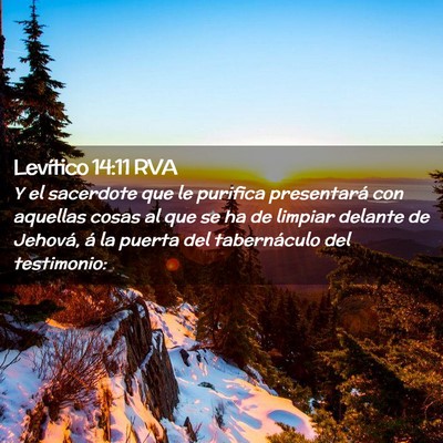 Picture 02 - Levítico 14:11 RVA - Y el sacerdote que le purifica presentará con - Bible Verse Picture