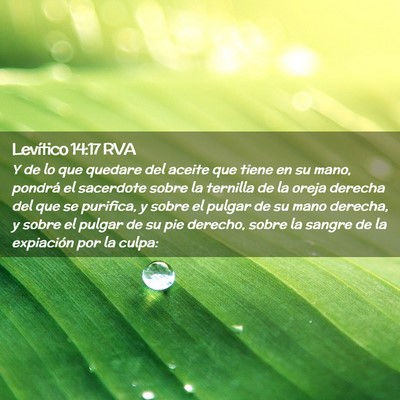 Picture 02 - Levítico 14:17 RVA - Y de lo que quedare del aceite que tiene en su - Bible Verse Picture