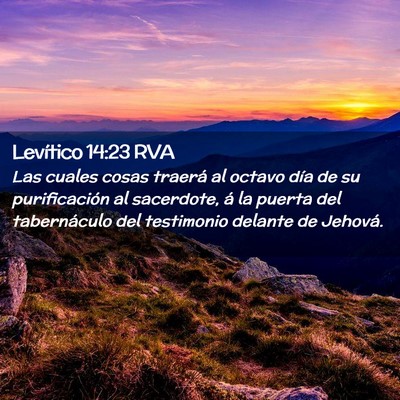 Picture 02 - Levítico 14:23 RVA - Las cuales cosas traerá al octavo día de su - Bible Verse Picture