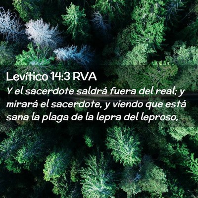 Picture 02 - Levítico 14:3 RVA - Y el sacerdote saldrá fuera del real; y mirará - Bible Verse Picture