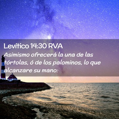 Picture 02 - Levítico 14:30 RVA - Asimismo ofrecerá la una de las tórtolas, ó de - Bible Verse Picture