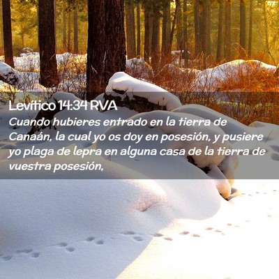 Picture 02 - Levítico 14:34 RVA - Cuando hubieres entrado en la tierra de Canaán, - Bible Verse Picture