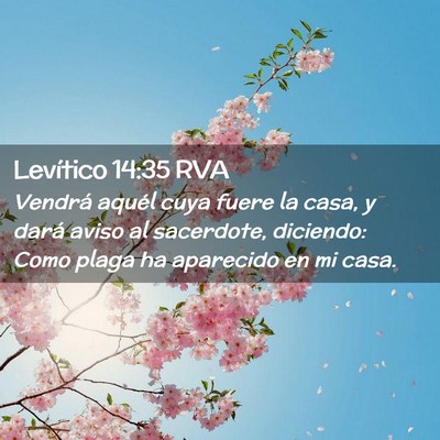 Picture 02 - Levítico 14:35 RVA - Vendrá aquél cuya fuere la casa, y dará aviso - Bible Verse Picture