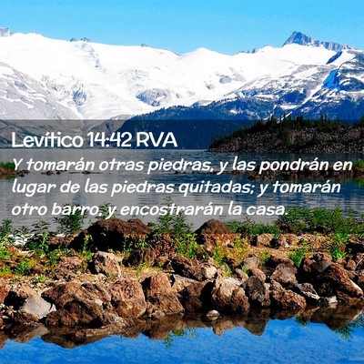Picture 02 - Levítico 14:42 RVA - Y tomarán otras piedras, y las pondrán en lugar - Bible Verse Picture