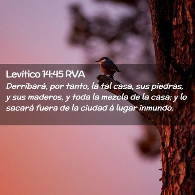 Picture 02 - Levítico 14:45 RVA - Derribará, por tanto, la tal casa, sus piedras, - Bible Verse Picture