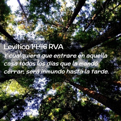 Picture 02 - Levítico 14:46 RVA - Y cualquiera que entrare en aquella casa todos - Bible Verse Picture