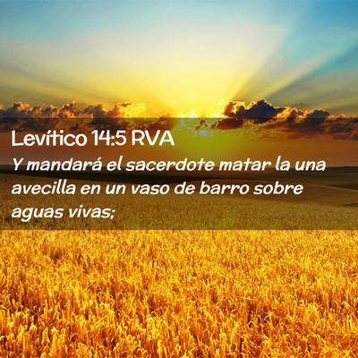 Picture 02 - Levítico 14:5 RVA - Y mandará el sacerdote matar la una avecilla en - Bible Verse Picture