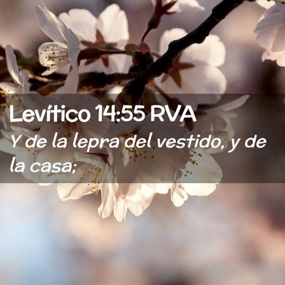 Picture 02 - Levítico 14:55 RVA - Y de la lepra del vestido, y de la - Bible Verse Picture