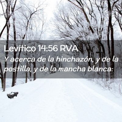 Picture 02 - Levítico 14:56 RVA - Y acerca de la hinchazón, y de la postilla, y de - Bible Verse Picture