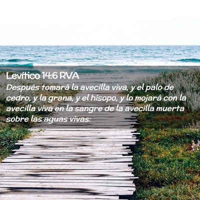 Picture 02 - Levítico 14:6 RVA - Después tomará la avecilla viva, y el palo de - Bible Verse Picture