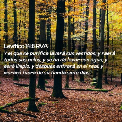 Picture 02 - Levítico 14:8 RVA - Y el que se purifica lavará sus vestidos, y - Bible Verse Picture