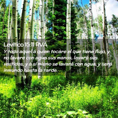 Picture 02 - Levítico 15:11 RVA - Y todo aquel á quien tocare el que tiene flujo, - Bible Verse Picture