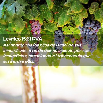 Picture 02 - Levítico 15:31 RVA - Así apartaréis los hijos de Israel de sus - Bible Verse Picture