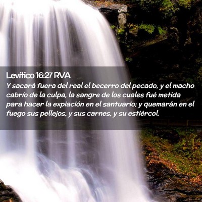 Picture 02 - Levítico 16:27 RVA - Y sacará fuera del real el becerro del pecado, y - Bible Verse Picture