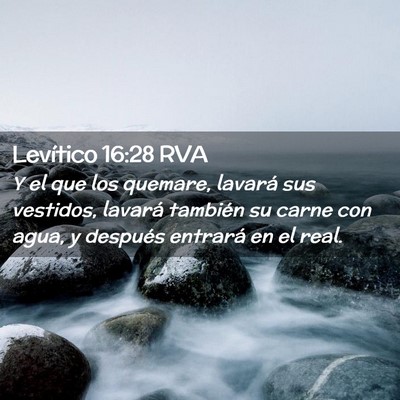 Picture 02 - Levítico 16:28 RVA - Y el que los quemare, lavará sus vestidos, - Bible Verse Picture