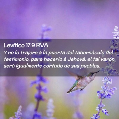 Picture 02 - Levítico 17:9 RVA - Y no lo trajere á la puerta del tabernáculo del - Bible Verse Picture