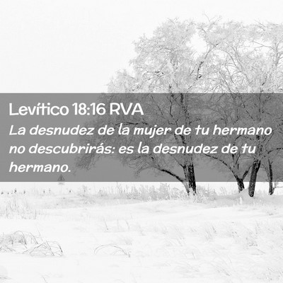 Picture 02 - Levítico 18:16 RVA - La desnudez de la mujer de tu hermano no - Bible Verse Picture