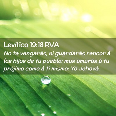 Picture 02 - Levítico 19:18 RVA - No te vengarás, ni guardarás rencor á los - Bible Verse Picture