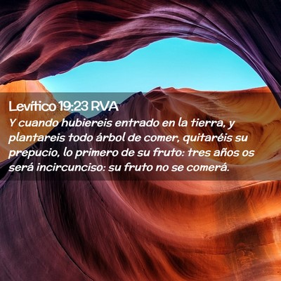 Picture 02 - Levítico 19:23 RVA - Y cuando hubiereis entrado en la tierra, y - Bible Verse Picture