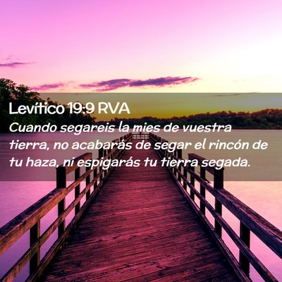 Picture 02 - Levítico 19:9 RVA - Cuando segareis la mies de vuestra tierra, no - Bible Verse Picture