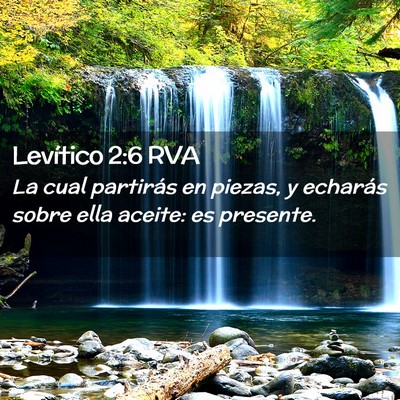 Picture 02 - Levítico 2:6 RVA - La cual partirás en piezas, y echarás sobre - Bible Verse Picture