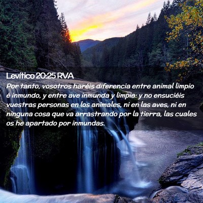 Picture 02 - Levítico 20:25 RVA - Por tanto, vosotros haréis diferencia entre - Bible Verse Picture