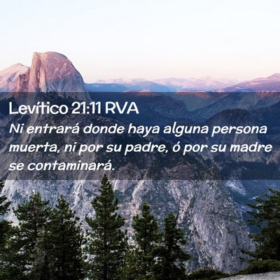 Picture 02 - Levítico 21:11 RVA - Ni entrará donde haya alguna persona muerta, ni - Bible Verse Picture