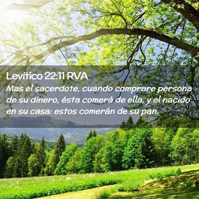 Picture 02 - Levítico 22:11 RVA - Mas el sacerdote, cuando comprare persona de su - Bible Verse Picture