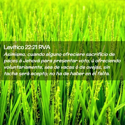 Picture 02 - Levítico 22:21 RVA - Asimismo, cuando alguno ofreciere sacrificio de - Bible Verse Picture