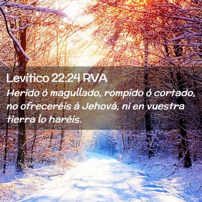 Picture 02 - Levítico 22:24 RVA - Herido ó magullado, rompido ó cortado, no - Bible Verse Picture