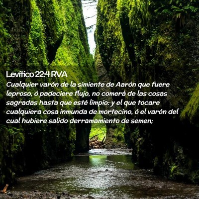 Picture 02 - Levítico 22:4 RVA - Cualquier varón de la simiente de Aarón que - Bible Verse Picture
