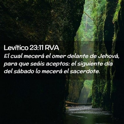 Picture 02 - Levítico 23:11 RVA - El cual mecerá el omer delante de Jehová, para - Bible Verse Picture