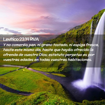 Picture 02 - Levítico 23:14 RVA - Y no comeréis pan, ni grano tostado, ni espiga - Bible Verse Picture