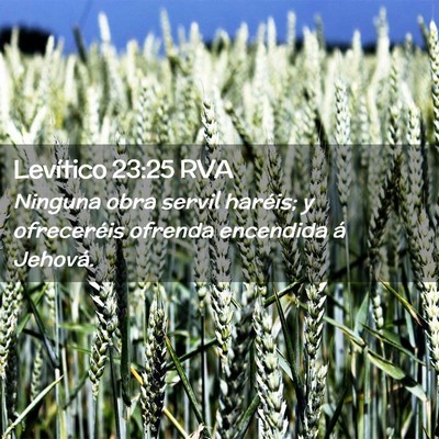 Picture 02 - Levítico 23:25 RVA - Ninguna obra servil haréis; y ofreceréis - Bible Verse Picture