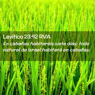 Picture 02 - Levítico 23:42 RVA - En cabañas habitaréis siete días: todo natural - Bible Verse Picture