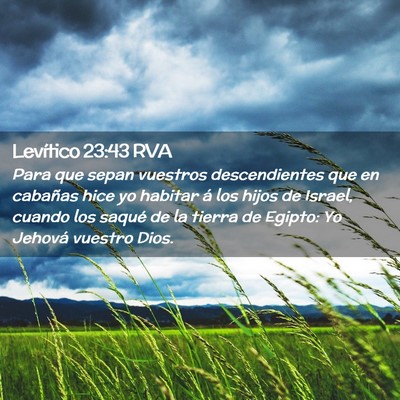 Picture 02 - Levítico 23:43 RVA - Para que sepan vuestros descendientes que en - Bible Verse Picture