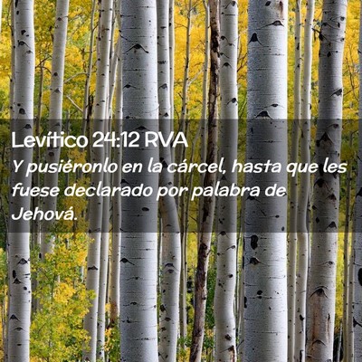 Picture 02 - Levítico 24:12 RVA - Y pusiéronlo en la cárcel, hasta que les fuese - Bible Verse Picture
