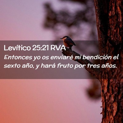 Picture 02 - Levítico 25:21 RVA - Entonces yo os enviaré mi bendición el sexto - Bible Verse Picture