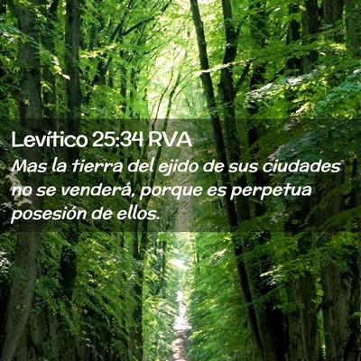 Picture 02 - Levítico 25:34 RVA - Mas la tierra del ejido de sus ciudades no se - Bible Verse Picture